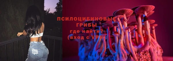 сатива Лихославль