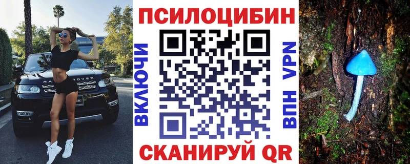 Галлюциногенные грибы мицелий  хочу наркоту  omg онион  Мелеуз 